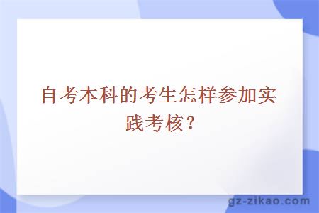 自考本科的考生怎樣參加實(shí)踐考核？