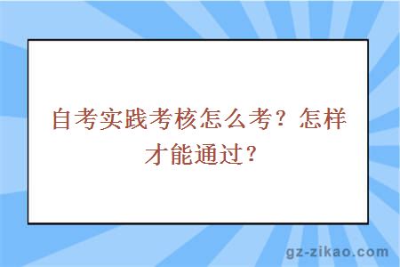 自考實(shí)踐考核怎么考？怎樣才能通過(guò)？