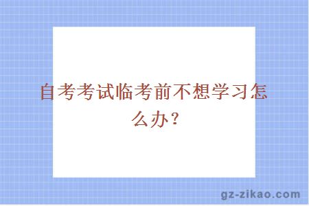 自考考試臨考前不想學(xué)習怎么辦？