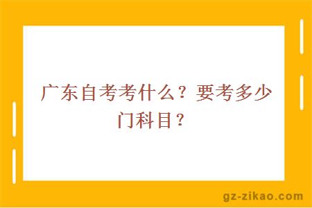 廣東自考考什么？要考多少門(mén)科目？