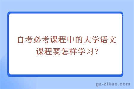 自考必考課程中的大學(xué)語(yǔ)文課程要怎樣學(xué)習？