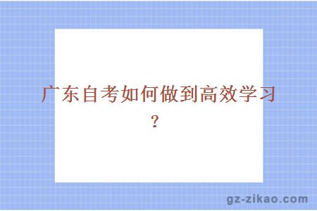 廣東自考如何做到高效學(xué)習？
