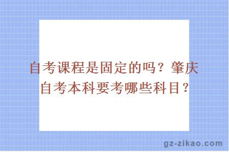 自考課程是固定的嗎？肇慶自考本科要考哪些科目？