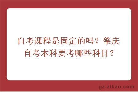 自考課程是固定的嗎？肇慶自考本科要考哪些科目？