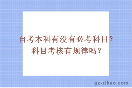 自考本科有沒(méi)有必考科目？科目考核有規律嗎？