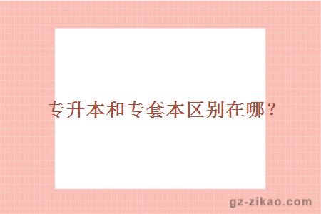 專(zhuān)升本和專(zhuān)套本區別在哪？