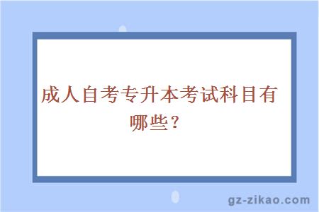 成人自考專(zhuān)升本考試科目有哪些？