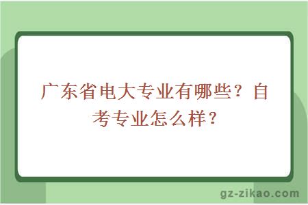 廣東省電大專(zhuān)業(yè)有哪些？自考專(zhuān)業(yè)怎么樣？