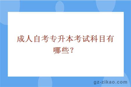 成人自考專(zhuān)升本考試科目有哪些？