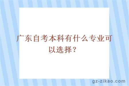 廣東自考本科有什么專(zhuān)業(yè)可以選擇？