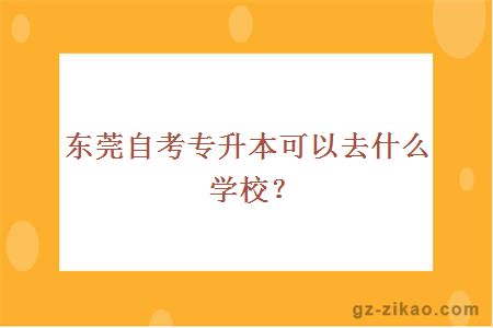 東莞自考專(zhuān)升本可以去什么學(xué)校？