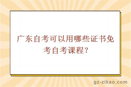廣東自考可以用哪些證書(shū)免考自考課程？