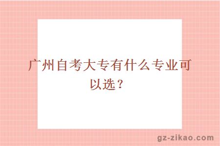 廣州自考大專(zhuān)有什么專(zhuān)業(yè)可以選？