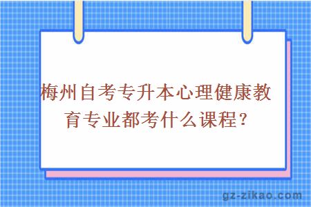 梅州自考專(zhuān)升本心理健康教育專(zhuān)業(yè)都考什么課程？