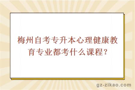梅州自考專(zhuān)升本心理健康教育專(zhuān)業(yè)都考什么課程？