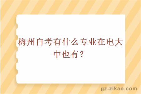 梅州自考有什么專(zhuān)業(yè)在電大中也有？