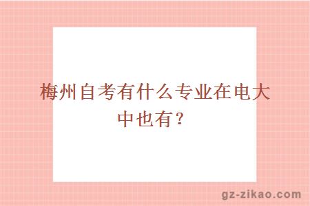 梅州自考有什么專(zhuān)業(yè)在電大中也有？