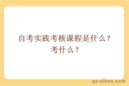 自考實(shí)踐考核課程是什么？考什么？