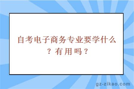 自考電子商務(wù)專(zhuān)業(yè)要學(xué)什么？有用嗎？
