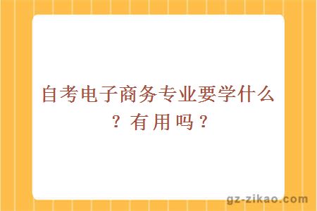 自考電子商務(wù)專(zhuān)業(yè)要學(xué)什么？有用嗎？