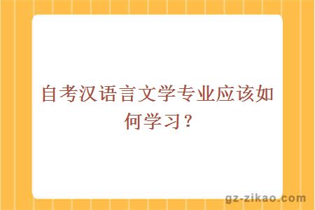 自考漢語(yǔ)言文學(xué)專(zhuān)業(yè)應該如何學(xué)習？