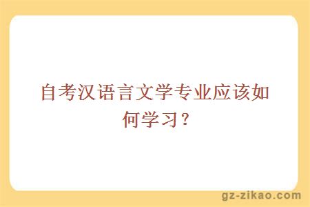 自考漢語(yǔ)言文學(xué)專(zhuān)業(yè)應該如何學(xué)習？