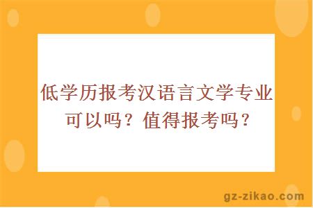 低學(xué)歷報考漢語(yǔ)言文學(xué)專(zhuān)業(yè)可以嗎？值得報考嗎？