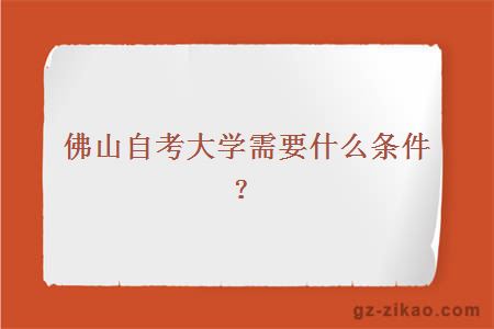 佛山自考大學(xué)需要什么條件？