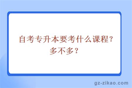 自考專(zhuān)升本要考什么課程？多不多？