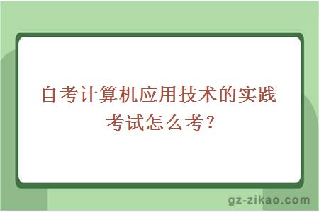 自考計算機應用技術(shù)的實(shí)踐考試怎么考？
