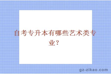 自考專(zhuān)升本有哪些藝術(shù)類(lèi)專(zhuān)業(yè)？