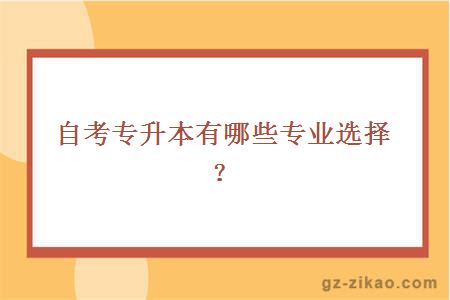 自考專(zhuān)升本有哪些專(zhuān)業(yè)選擇？