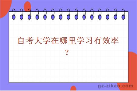 自考大學(xué)在哪里學(xué)習有效率？