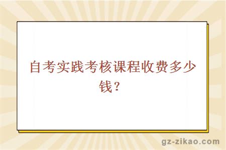 自考實(shí)踐考核課程收費多少？