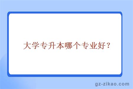 大學(xué)專(zhuān)升本哪個(gè)專(zhuān)業(yè)好？
