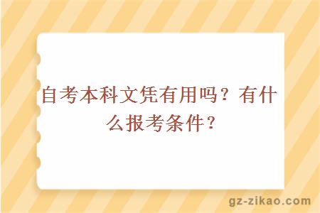 自考本科文憑有用嗎？有什么報考條件？