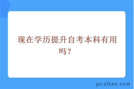 現在學(xué)歷提升自考本科有用嗎？