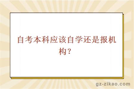 自考本科應該自學(xué)還是報機構？