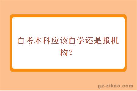自考本科應該自學(xué)還是報機構？