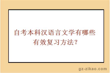 自考本科漢語(yǔ)言文學(xué)有哪些有效復習方法？