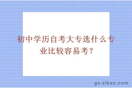 初中學(xué)歷自考大專(zhuān)選什么專(zhuān)業(yè)比較容易考？