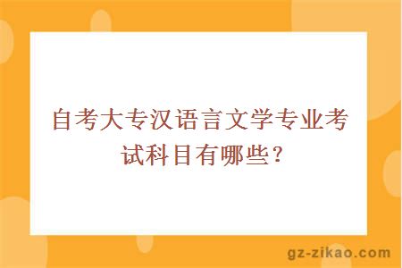 自考大專(zhuān)漢語(yǔ)言文學(xué)專(zhuān)業(yè)考試科目有哪些？