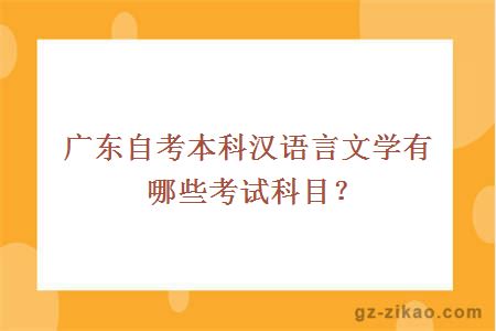 廣東自考本科漢語(yǔ)言文學(xué)有哪些考試科目？