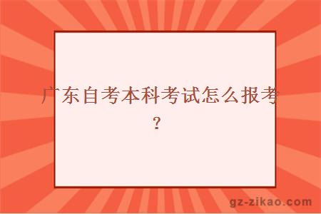 廣東自考本科考試怎么報考？
