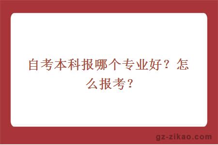 自考本科報哪個(gè)專(zhuān)業(yè)好？怎么報考？