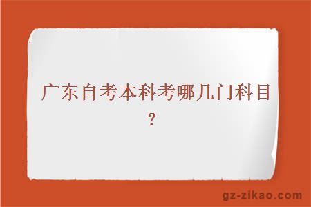 廣東自考本科考哪幾門(mén)科目？