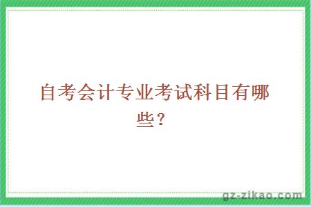 自考會(huì )計專(zhuān)業(yè)考試科目有哪些？