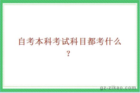 自考本科考試科目都考什么？
