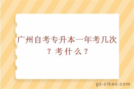 廣州自考專(zhuān)升本一年考幾次？考什么？