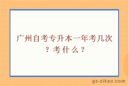 廣州自考專(zhuān)升本一年考幾次？考什么？